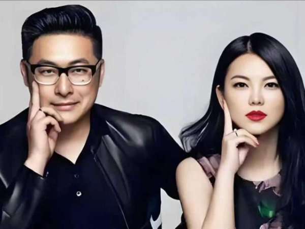 鸿岳资本配资 李湘王岳伦合资成立新公司，王岳伦任法人代表